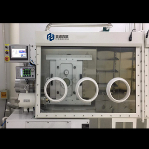 250x250mm Magnetron Sputtering Coating Machine with Golvebox PD-550CS 